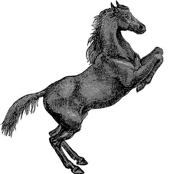 C7C7.APP